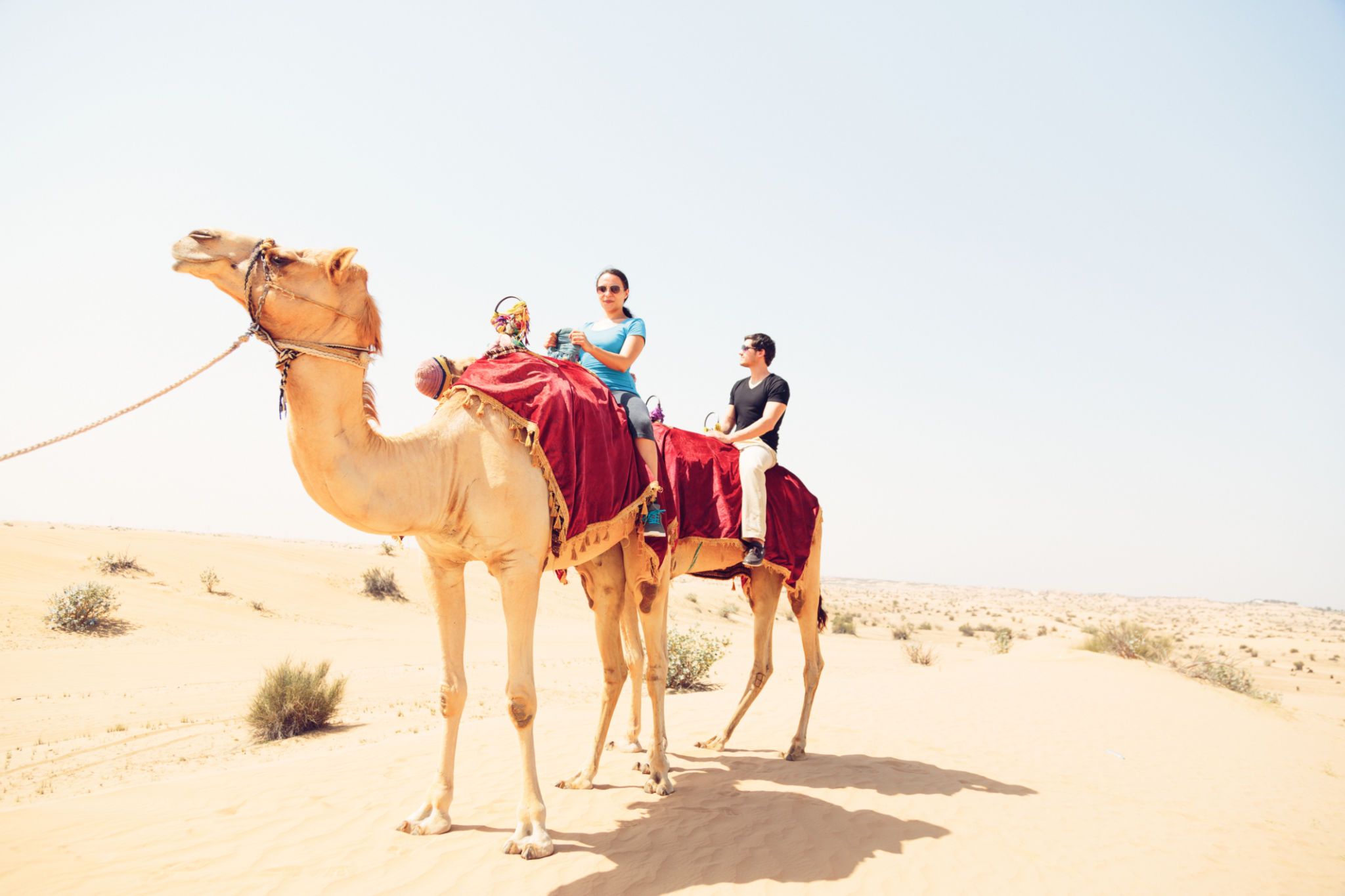 tourists riding through the desert tourists riding through the desert
