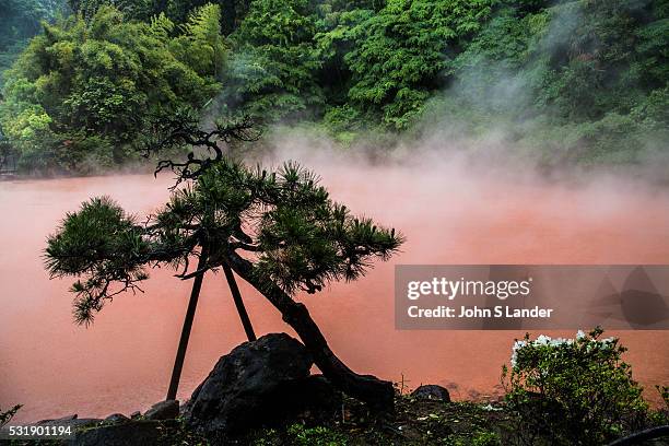 Chinoike Jigoku or blood pond hell is the second most attractive hell at Beppu featuring a red pond surrounded by Japanese pine trees. As the best of...