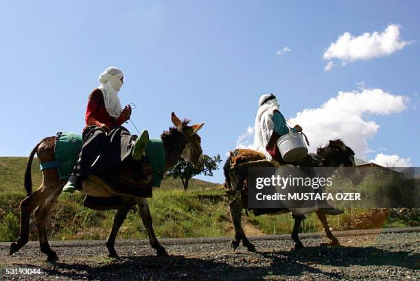 Turkey Riding Donkey Licle Photos and Premium High Res Pictures - Getty Images