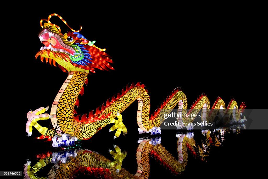 Traditional Chinese dragon reflected in the water