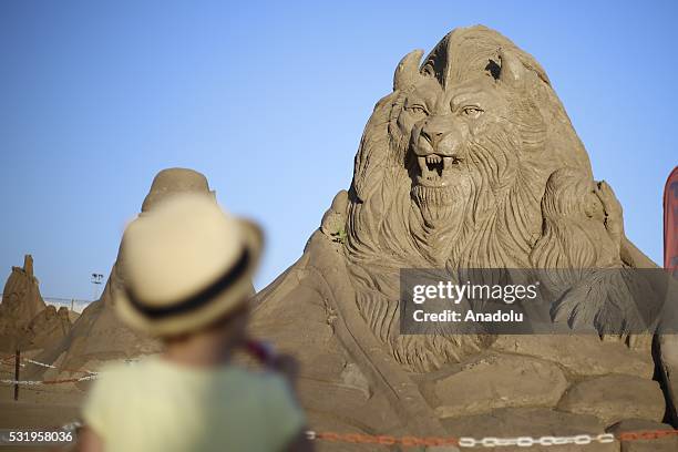 Sand sculptures are being displayed as 22 sculptors from 12 different countries attended to the 10th International Antalya Sand Sculpture Festival,...