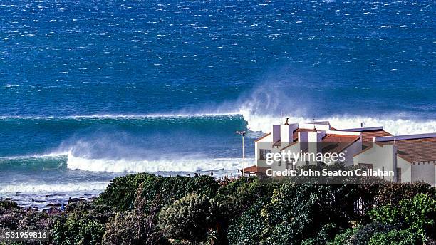 Java's Bay J Bay Photos and Premium High Res Pictures - Getty Images