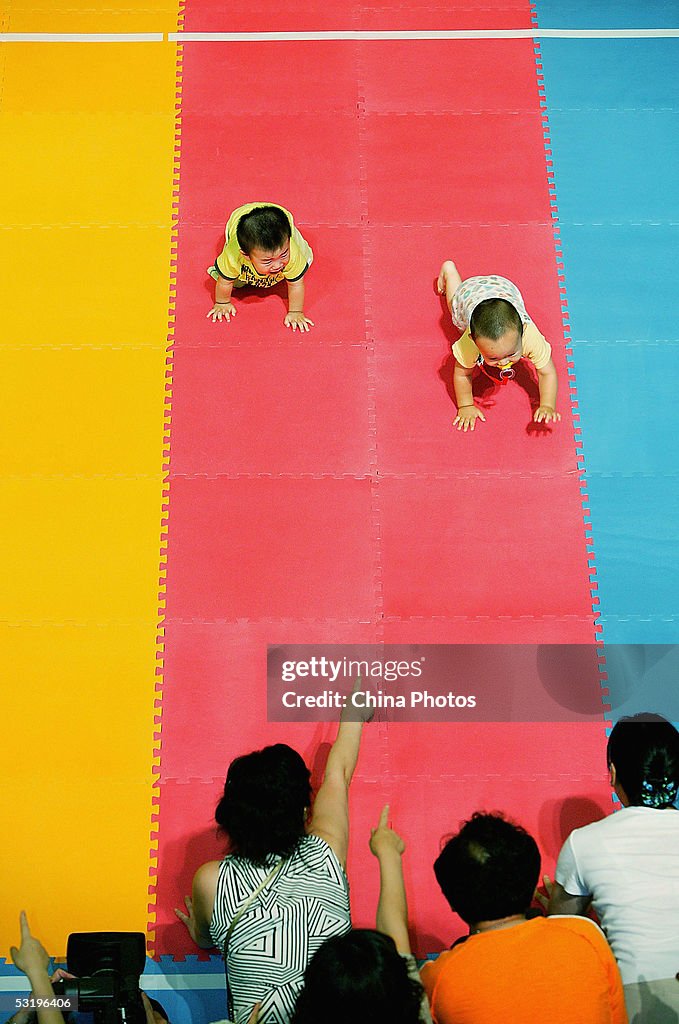 Baby Crawling Race In Shanghai