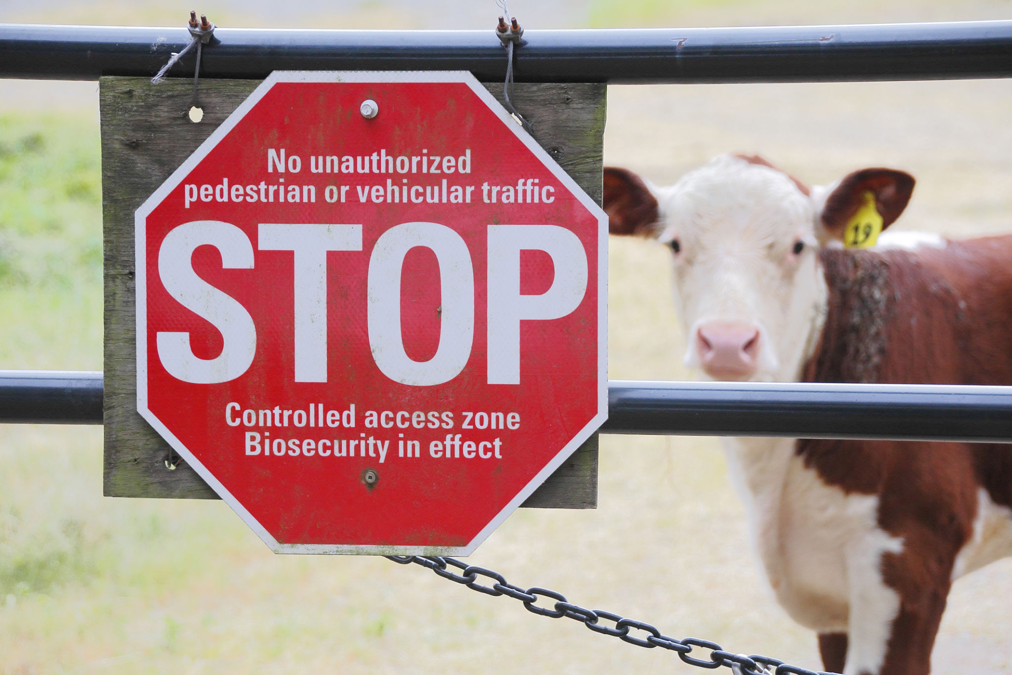 agriculture biosecurity