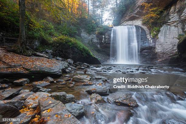 looking glass waterfall - asheville usa stock pictures, royalty-free photos & images