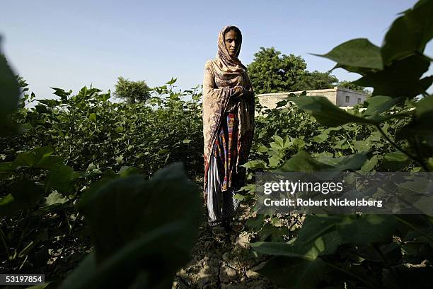 Mukhtiar Mai, who was gang raped by 6 men from a more powerful clan living next door on June 22 poses August 25, 2004 in Jatoimeerwala, Pakistan. She...