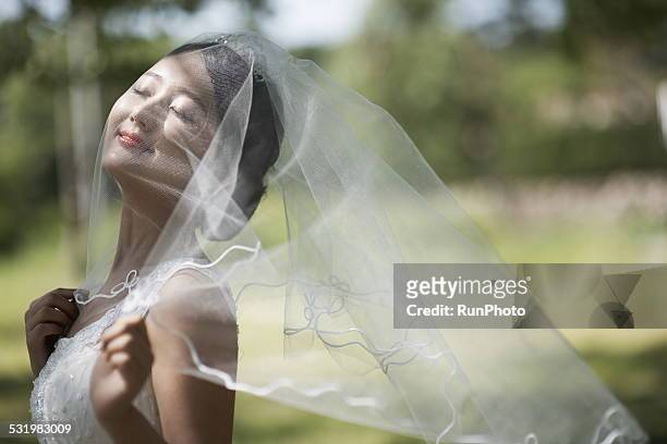 outdoor wedding shoot - wedding veil 個照片及圖片檔