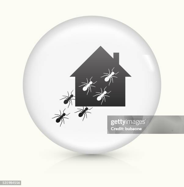 ants at home icon on white round vector button - exterminator stock illustrations