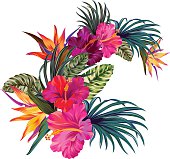 vector tropical bouquet