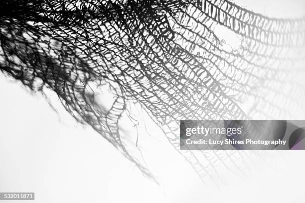 black netting blowing in the wind. - lucy shires stockfoto's en -beelden