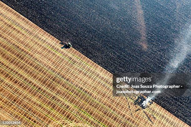 aerial view of the english agriculture fields in essex - joas souza stock pictures, royalty-free photos & images