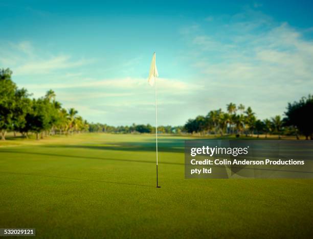 flag pole in hole on golf course - putting green stock-fotos und bilder