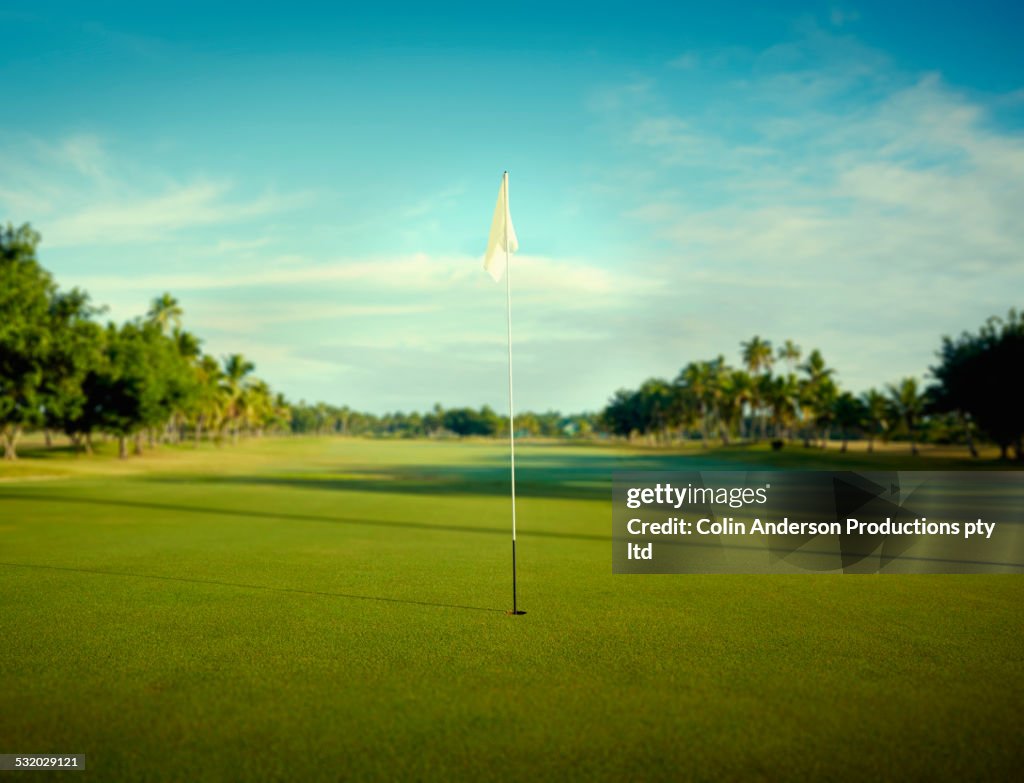 Flag pole in hole on golf course