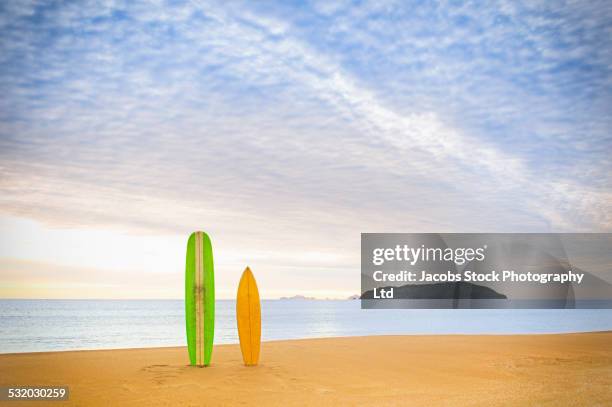 surfboards upright on beach - surfbräda bildbanksfoton och bilder