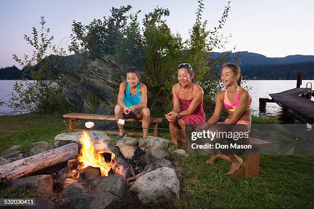 mother and children roasting marshmallows over campfire - lake whatcom bildbanksfoton och bilder