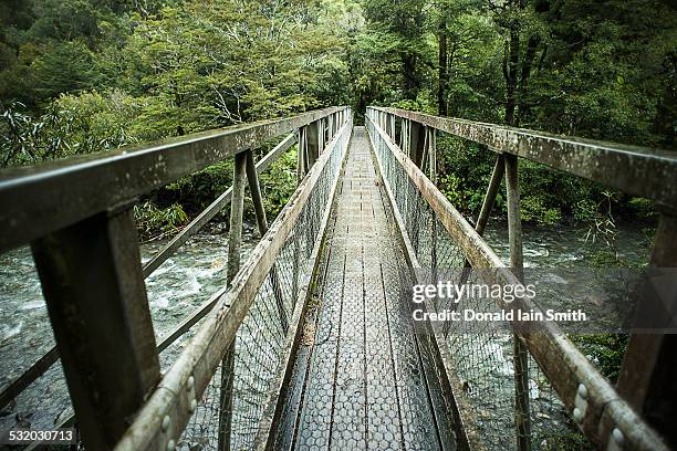 wooden bridge over river in forest - palmerston north nieuw zeeland stockfoto's en -beelden