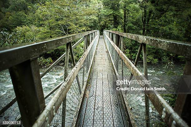 wooden bridge over river in forest - palmerston north nz bildbanksfoton och bilder