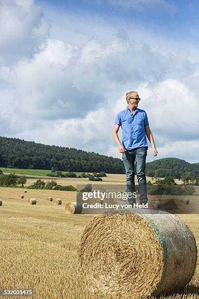 farmer standing on hay bale in field - einzelner mann über 40 stock-fotos und bilder