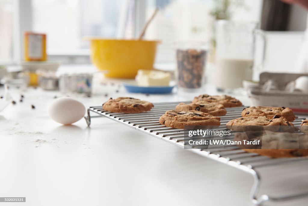 Close up of cookies on cooling tray on kitchen counter