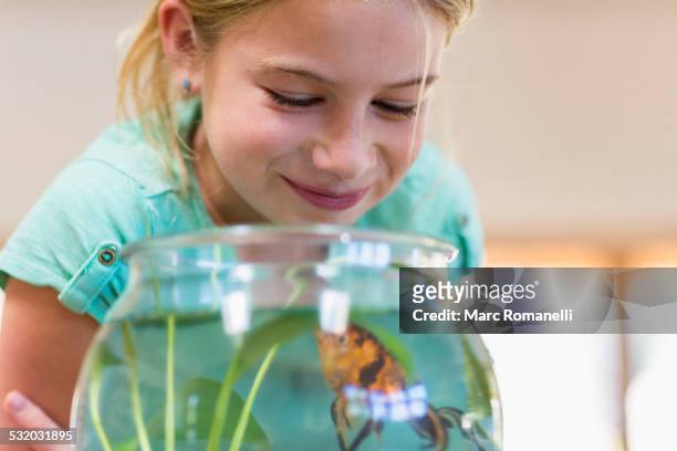 caucasian girl admiring pet goldfish in fishbowl - aquarium home stock-fotos und bilder