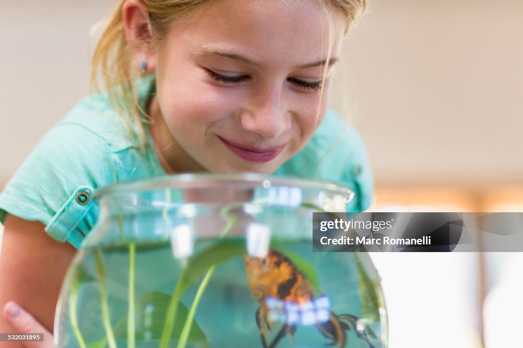 Caucasian girl admiring pet goldfish in fishbowl