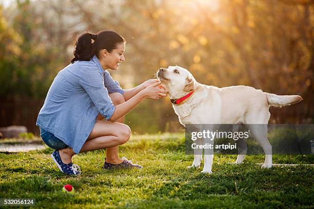 friendship - save a pet stock pictures, royalty-free photos & images