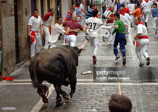 People run ahead of Santiago Domecq Boh?rquez bulls on the first day of the San Fermin Fiesta on July 7, 2005 in Pamplona, Spain. The "Encierro" or...