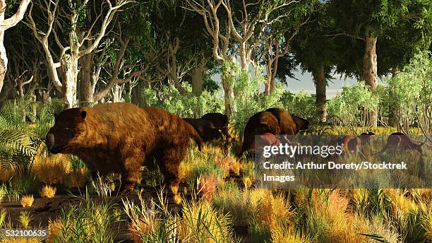 illustrations, cliparts, dessins animés et icônes de diprotodon on the edge of a eucalyptus forest with some early kangaroos. - groupe moyen d'animaux