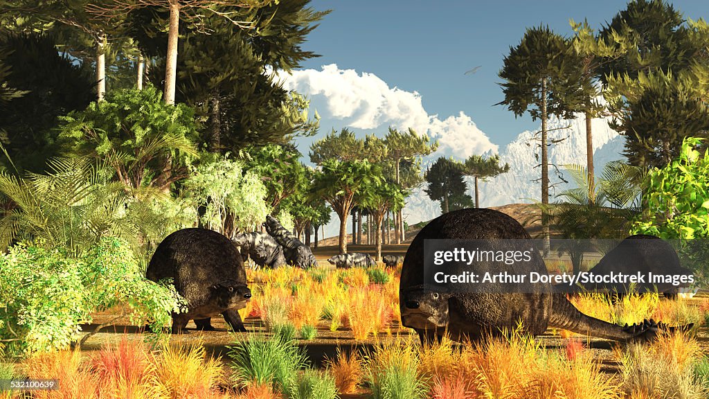 Prehistoric glyptodonts graze on grassy plains.