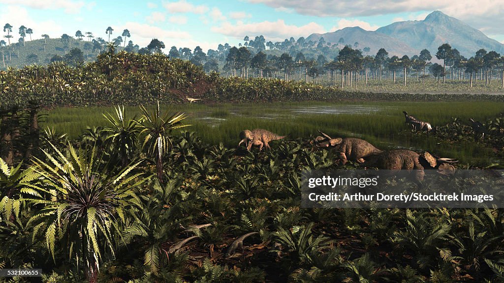 Dinosaurs graze the lush delta lands of North America 76-74 million years ago.