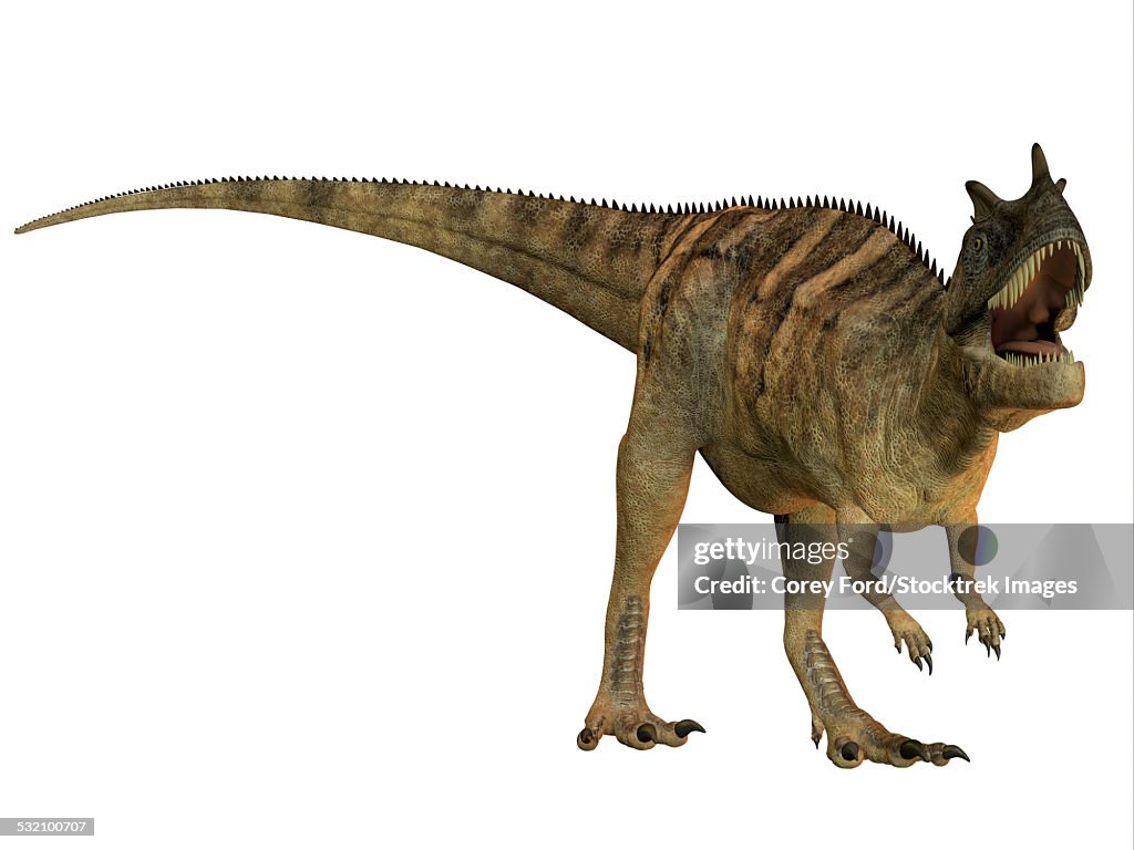 Inosaurus The Ceratosaurus Is A Horned Theropod Dinosaur Found In North America ...