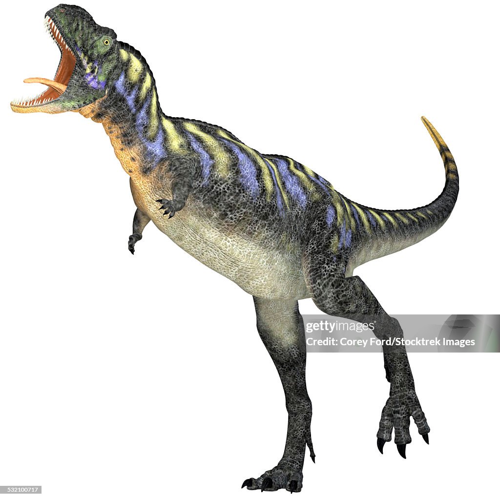 Aucasaurus was a predatory dinosaur from the Cretaceous Period in Argentina and a close relative of Carnotaurus.
