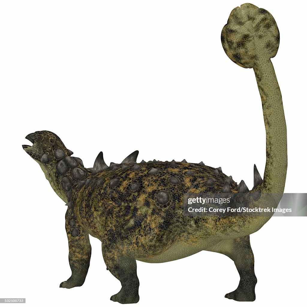 Euoplocephalus tutus, an herbivorous armored dinosaur that used its long tail and club for defense.