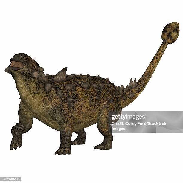 ilustraciones, imágenes clip art, dibujos animados e iconos de stock de euoplocephalus tutus, an herbivorous armored dinosaur that used its long tail and club for defense. - scute