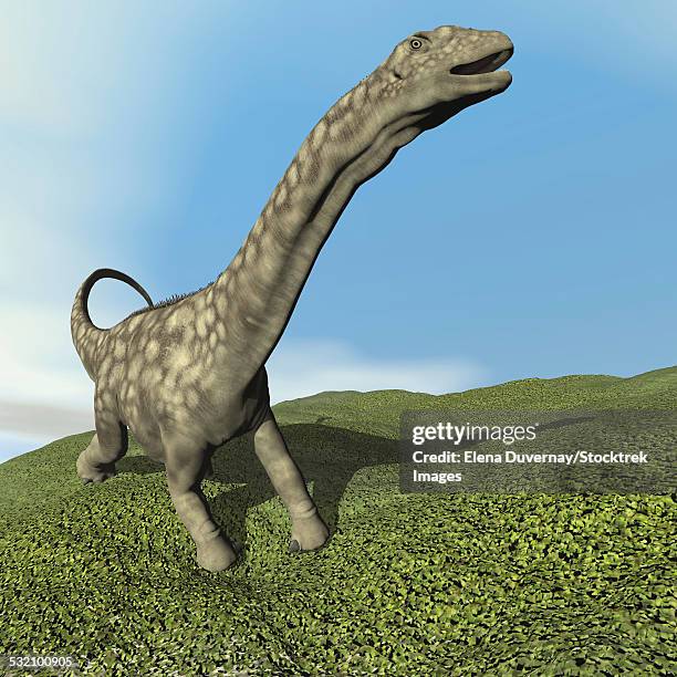 stockillustraties, clipart, cartoons en iconen met argentinosaurus dinosaur walking on the grass. - argentinosaurus