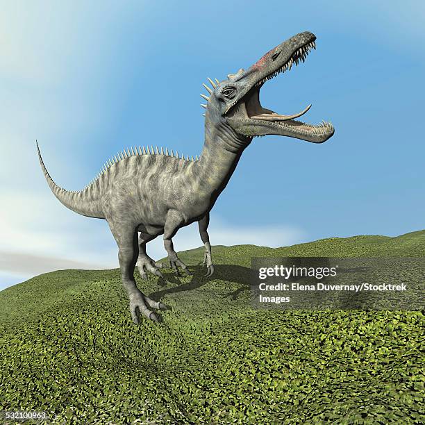 suchomimus dinosaur roaring. - suchomimus stock illustrations