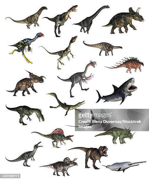illustrazioni stock, clip art, cartoni animati e icone di tendenza di set of dinosaurs in white background. - megalodon
