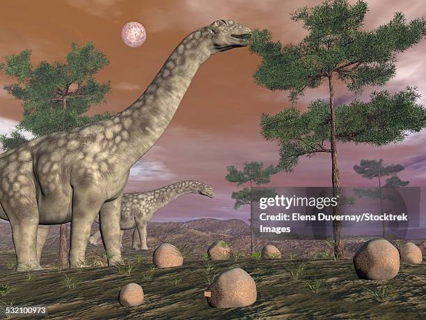 argentinosaurus dinosaur eating leaves from the tree tops. - argentinosaurus stock illustrations