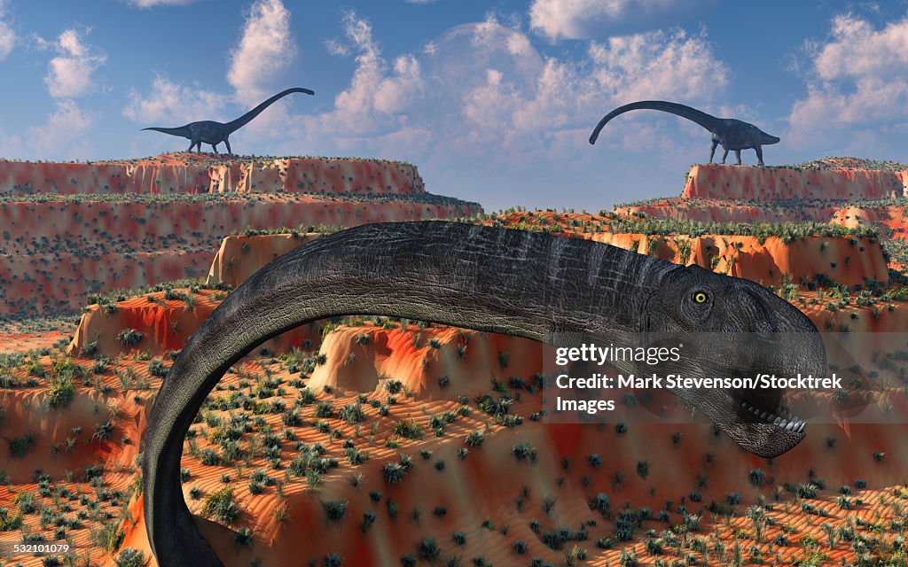Omysaurus Omeisaurus Sauropod Dinosaurs From The Jurassic Era High-Res Vector ...