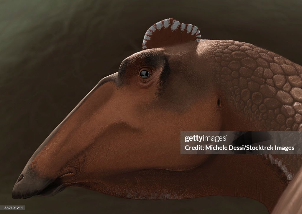 Portrait of the head of a Edmontosaurus regalis dinosaur.