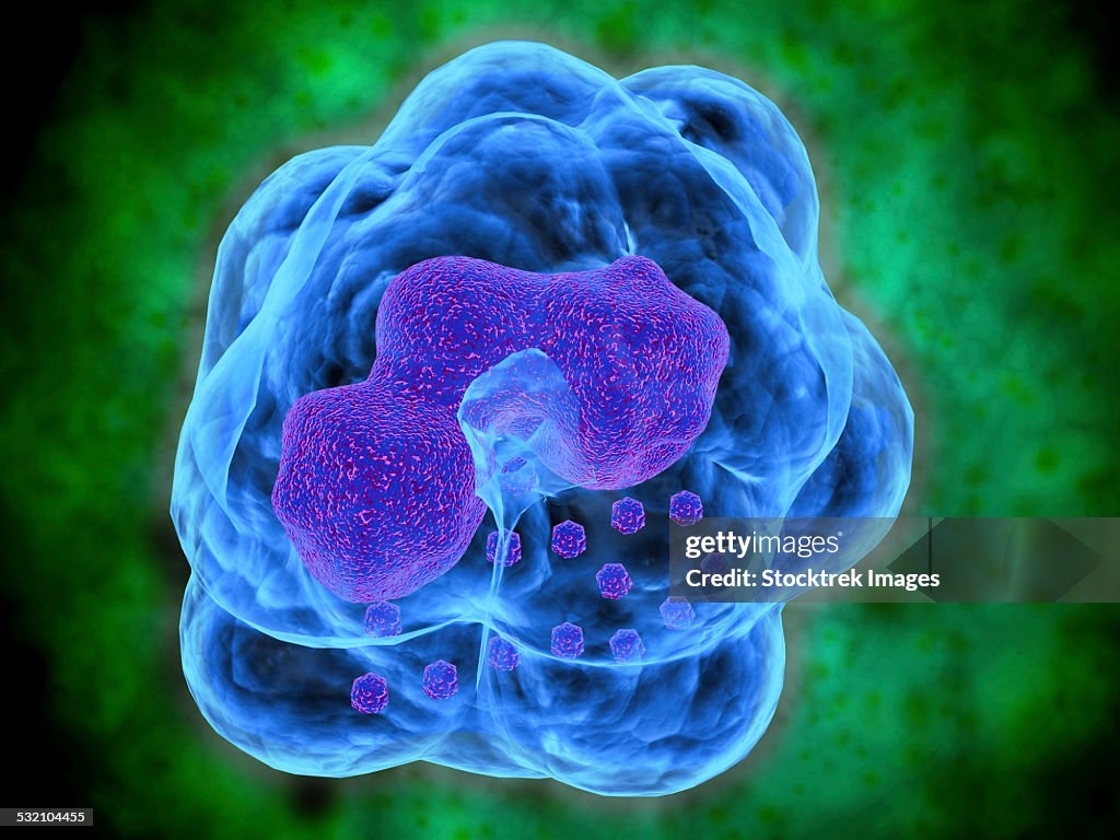 Conceptual image of Basophils.