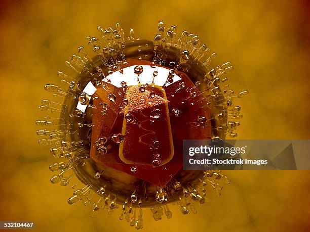 conceptual image of coxsackievirus. - enterovirus stock illustrations