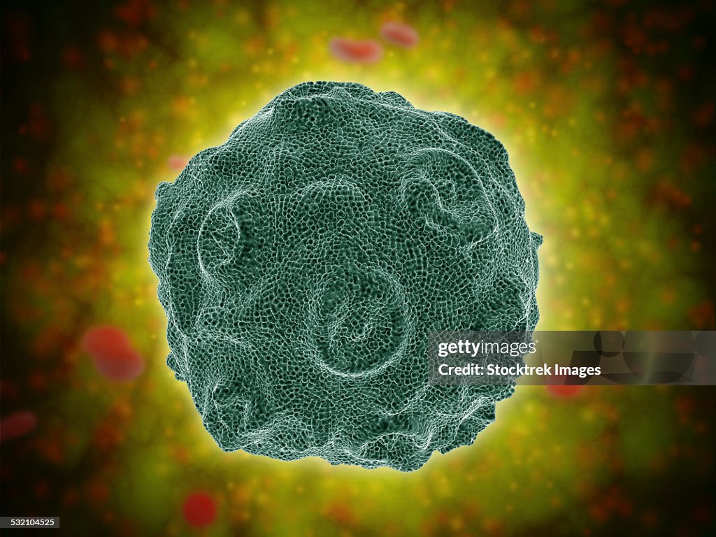 Conceptual image of the Human Papilloma Virus.