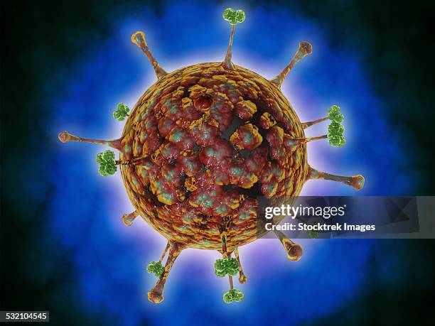 ilustrações de stock, clip art, desenhos animados e ícones de microscopic view of henipavirus. - spike protein