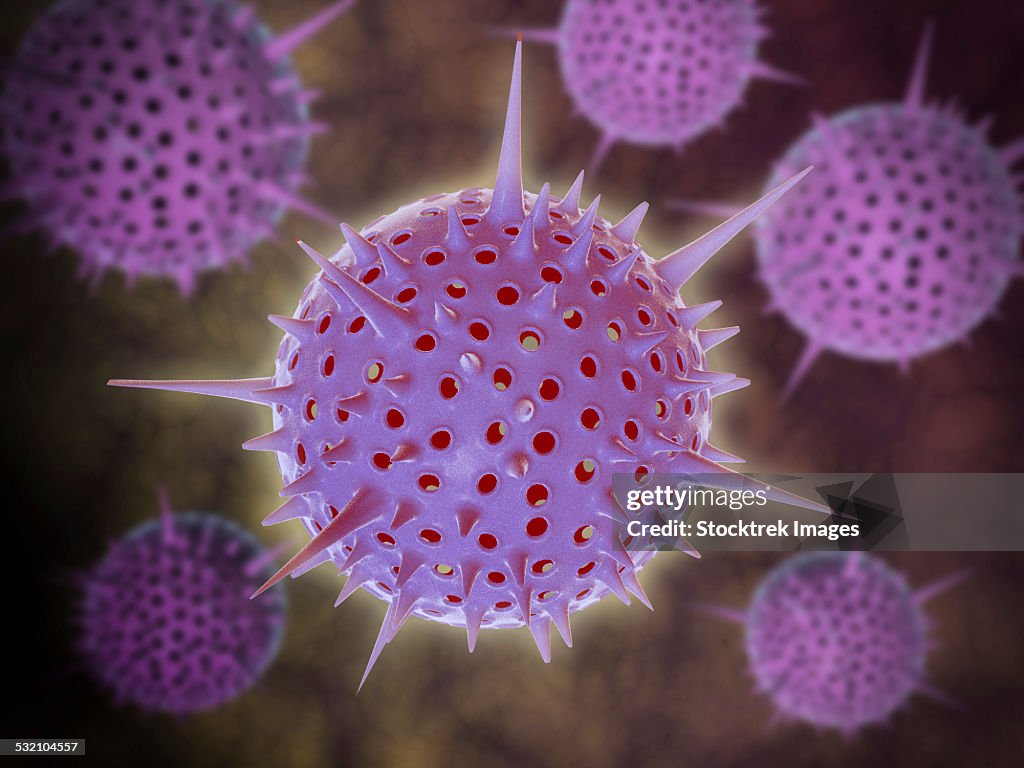 Conceptual image of Radiolarians with a skeletal frame. Radiolarians are tiny protozoans that live in the ocean.