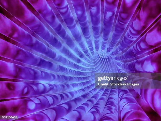 microscopic view of inner nervous system. - neuroanatomy stock illustrations