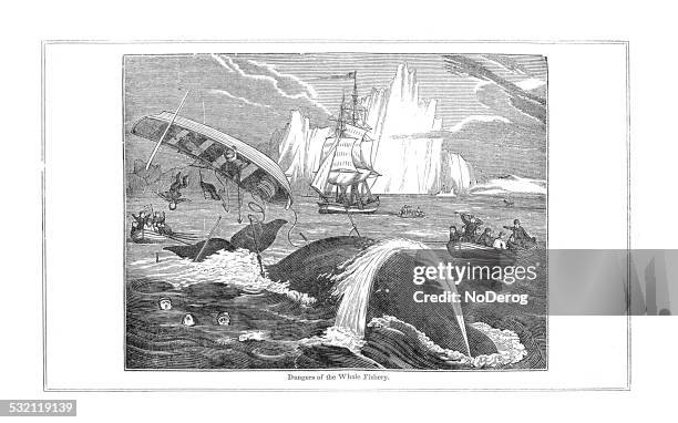 whaling expedition historical engraving - harpoon stock illustrations