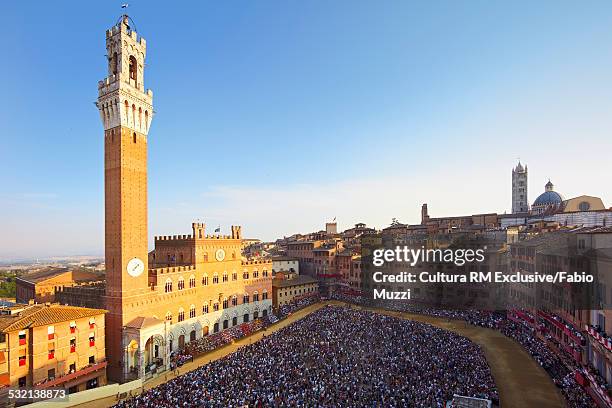 council of siena, piazza del campo during horse race of palio, siena,tuscany, italy - siena stock-fotos und bilder