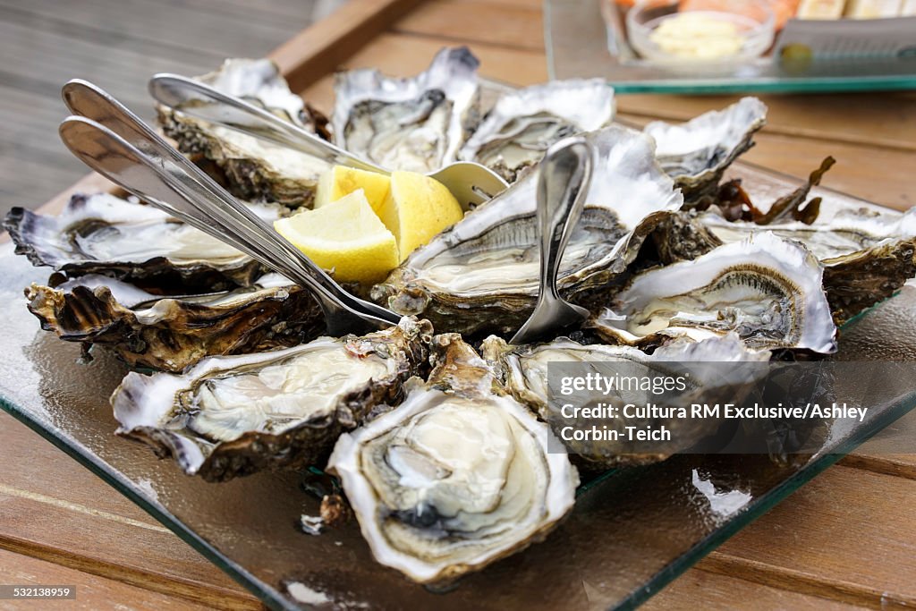 Oysters