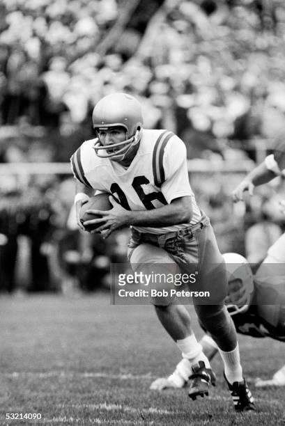 American college football player Gary Beban , quarterback for UCLA, runs with ball during game against University of Pittsburgh, Pittsburgh,...